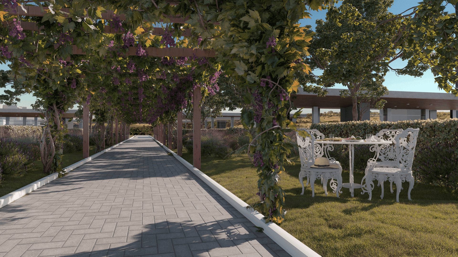 Garden path lined with grapevines and an ornate white table with chairs on the grass.