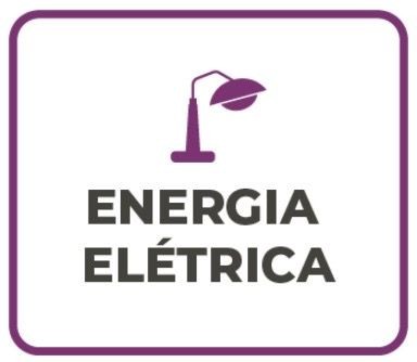 Icon of a streetlamp with the text Energia Elétrica, framed by a purple border.