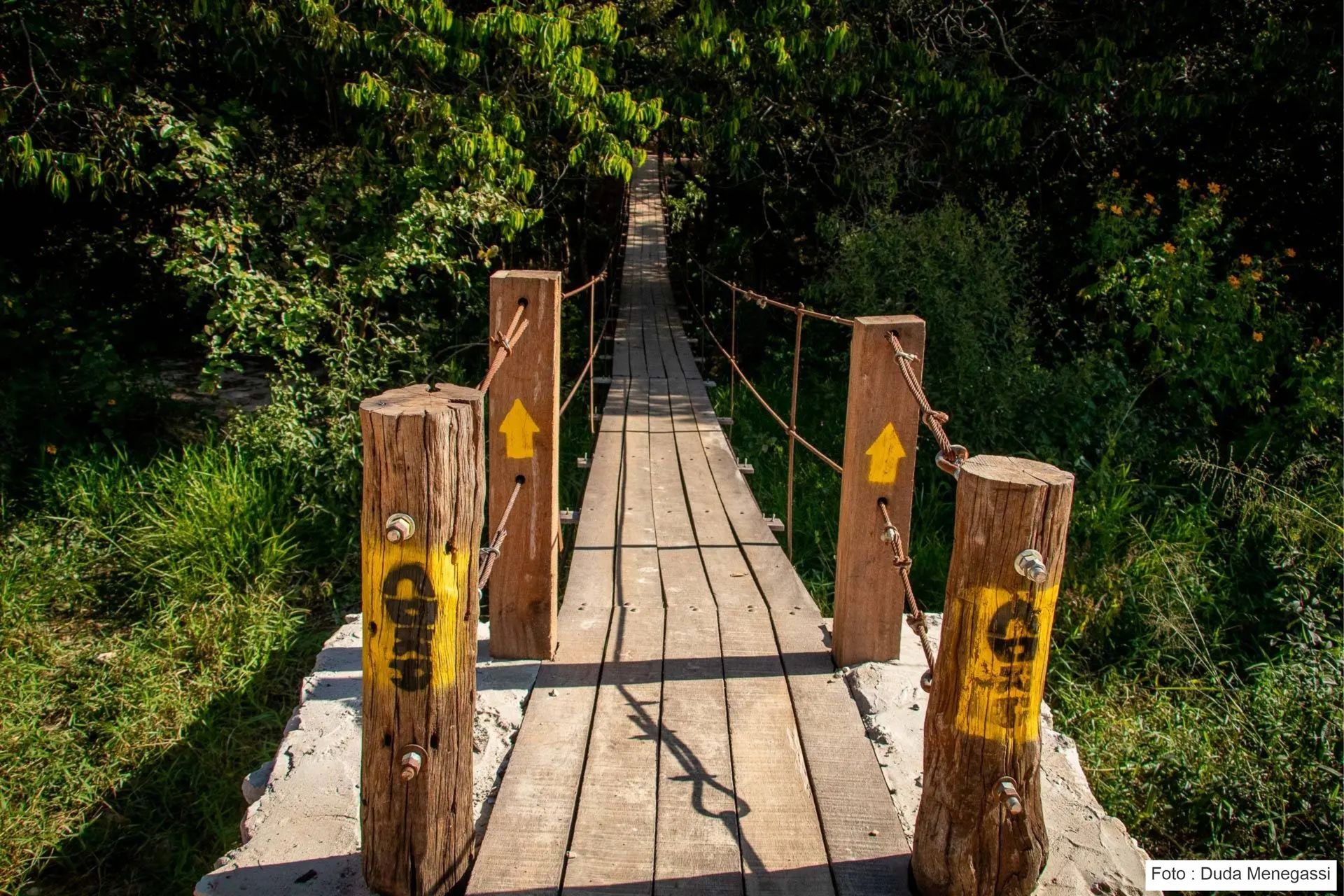 Caminho Cora Coralina