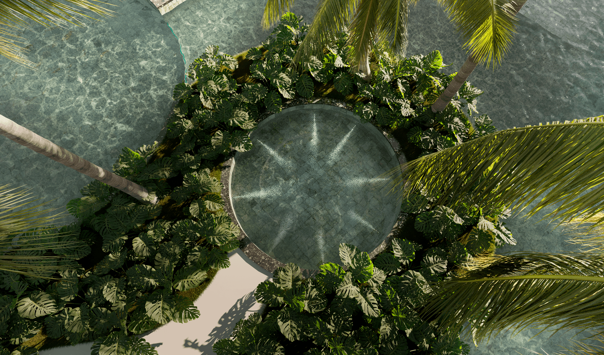 Top view of a circular water feature surrounded by lush tropical plants and palm trees.