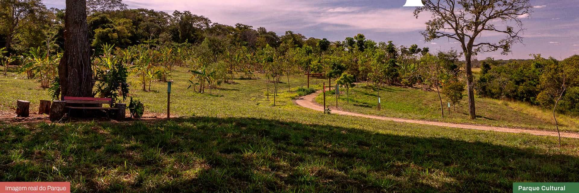 Um parque florestal como quintal.