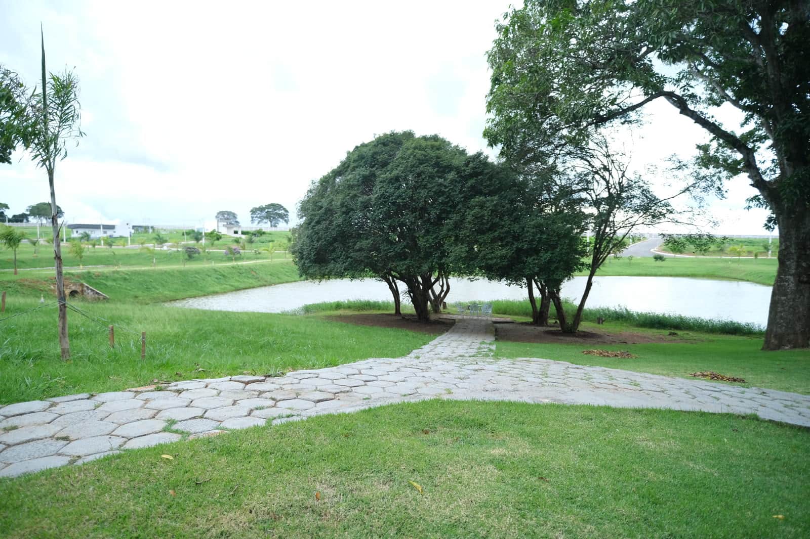 Pomar de jabuticaba, horta e campo gramado.