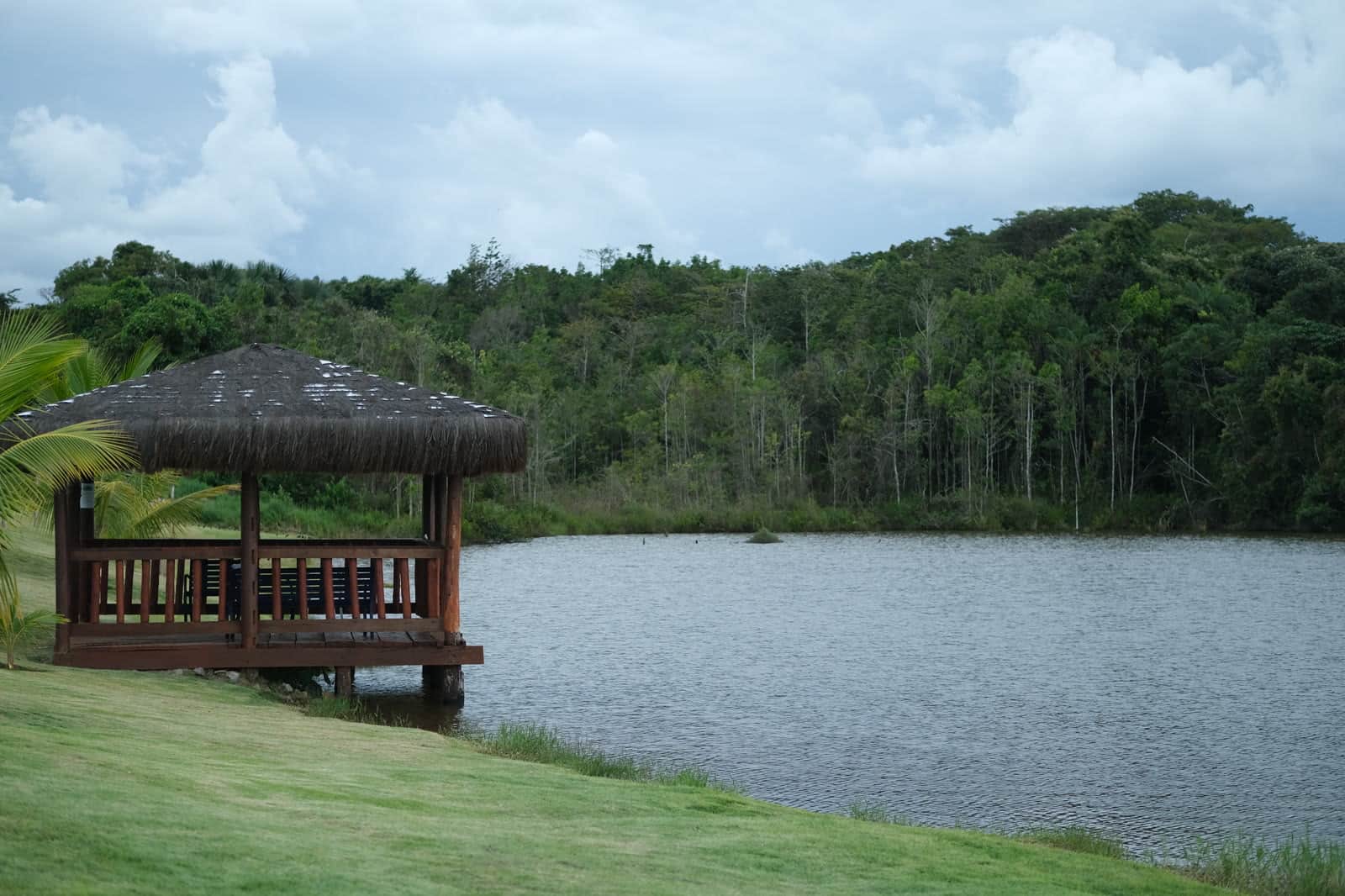 Ecológico Veneza — Bonfinópolis