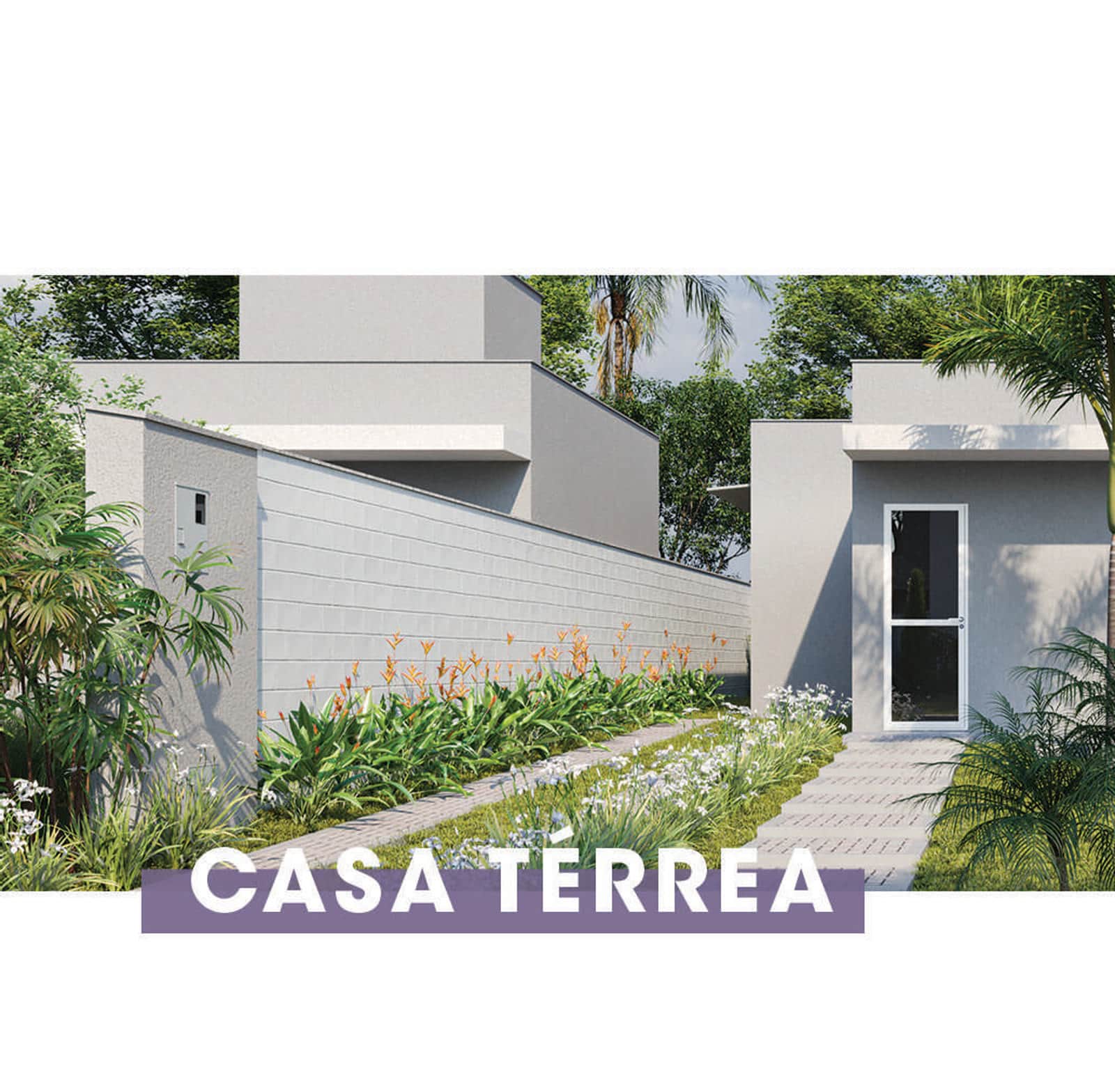 Três plantas, e você ainda pode mexer nelas.