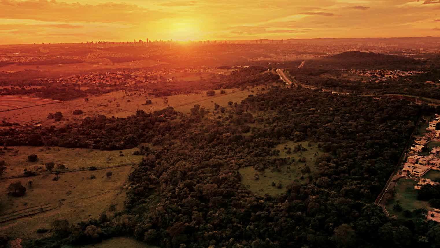 60 m² de área verde por morador.